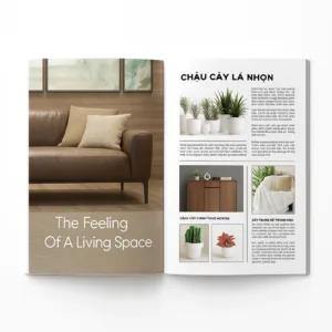 Catalogue