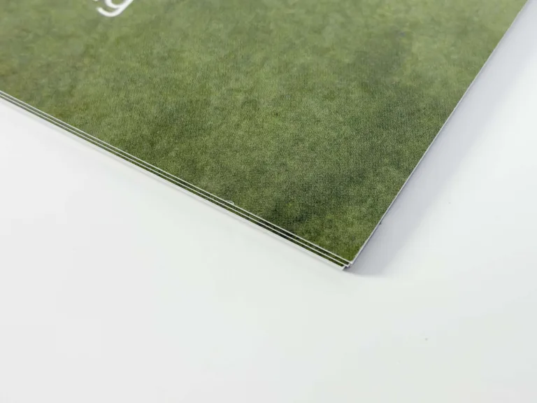 Menu giay dong lo xo 4